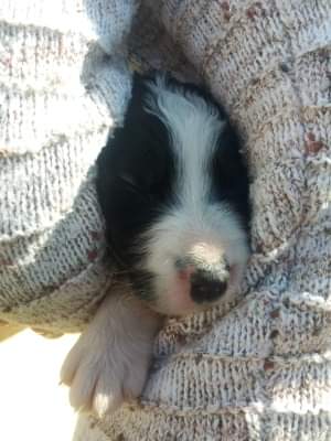 day when my family saw her for the first time...
