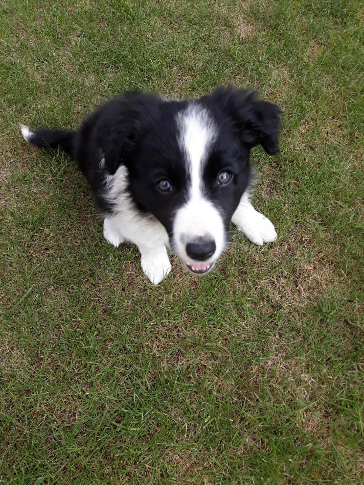 2 month old